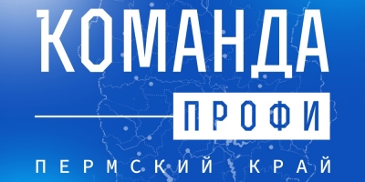 Методический помощник проекта «Школа студенческих наставников» 